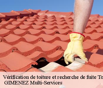 Vérification de toiture et recherche de fuite  toujouse-32240  GIMENEZ Multi-Services