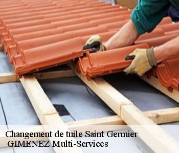 Changement de tuile  saint-germier-32200  GIMENEZ Multi-Services