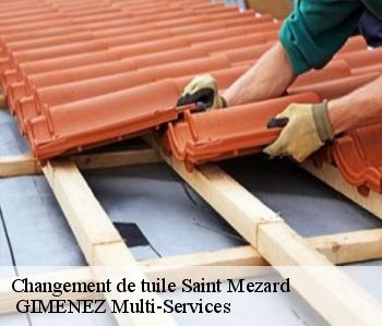 Changement de tuile  saint-mezard-32700  GIMENEZ Multi-Services