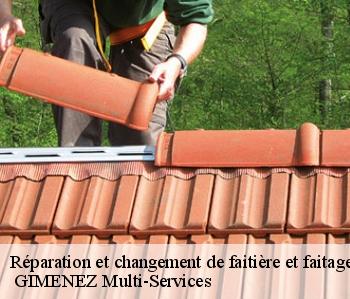 Réparation et changement de faitière et faitage  haulies-32550  GIMENEZ Multi-Services